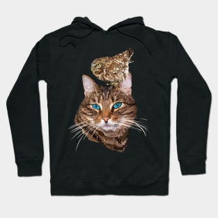 Cat and owl Hoodie